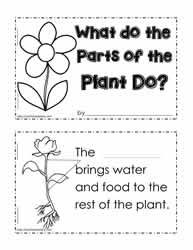 1st Grade Science Worksheets On Plants