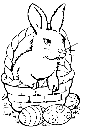Bunny Pictures To Color For Free
