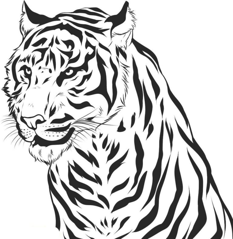 Realistic Tiger Face Coloring Pages