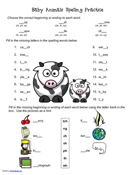 Animal Worksheets For 2nd Grade