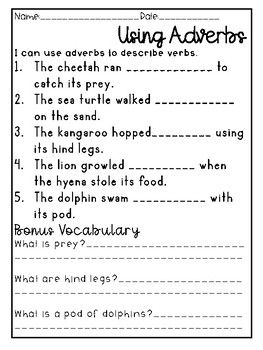 Adverbs Worksheets For Grade 2 With Answers