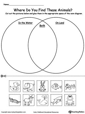 Animal Body Parts Worksheets For Grade 3