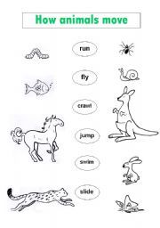 Body Parts Of Animals Worksheets For Grade 3 Pdf