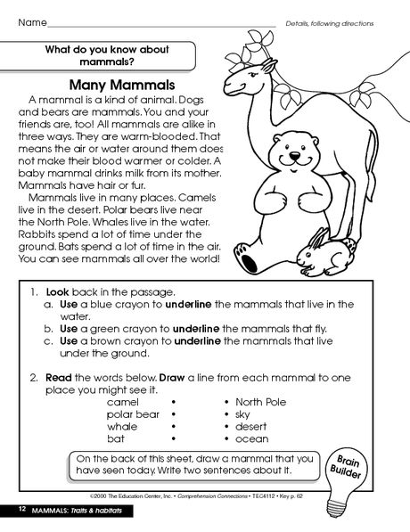 Animal Habitat Worksheets For Grade 2