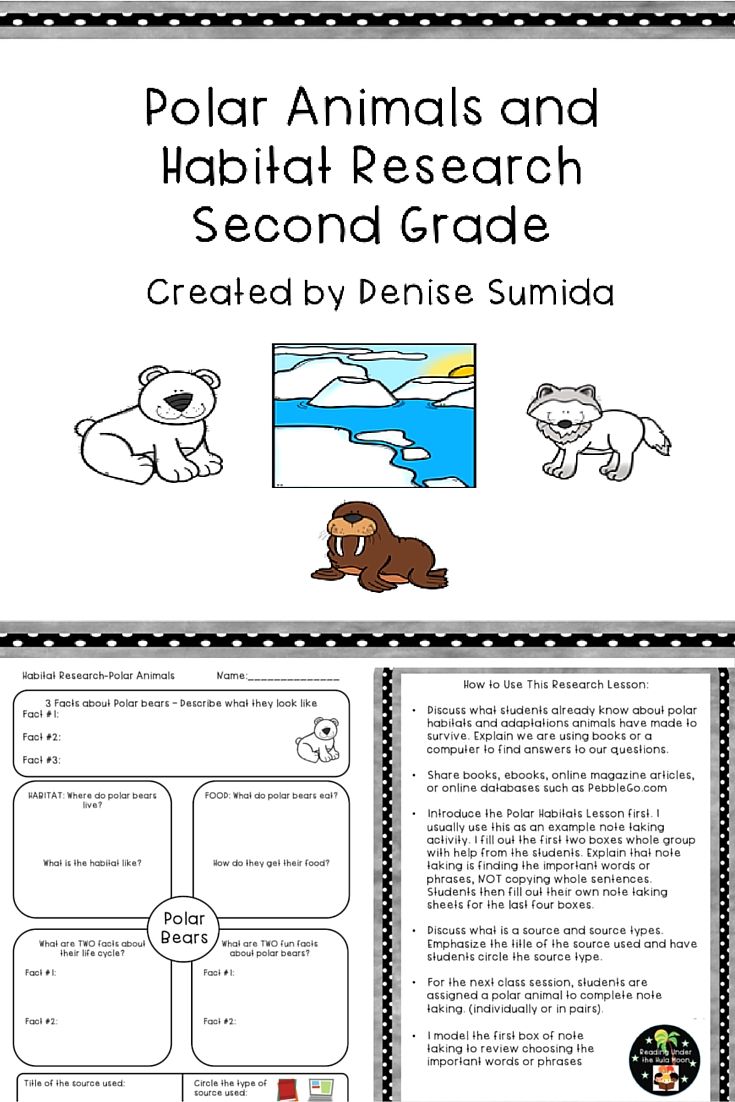 Animals Worksheets For 2nd Graders
