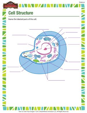 6th Grade Science Worksheets Cells