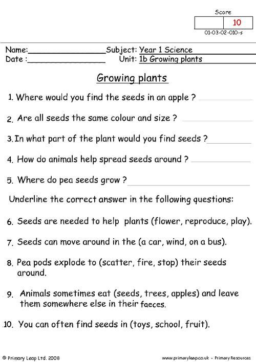 6th Grade Science Worksheets Plants