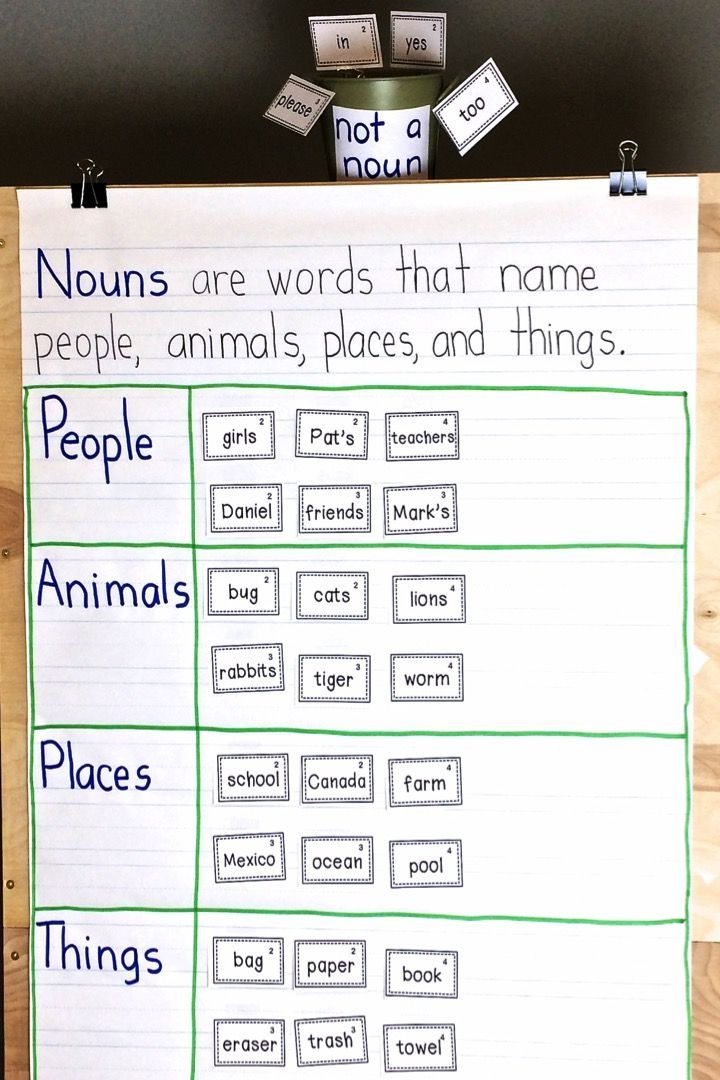 5th Grade Possessive Nouns Worksheets