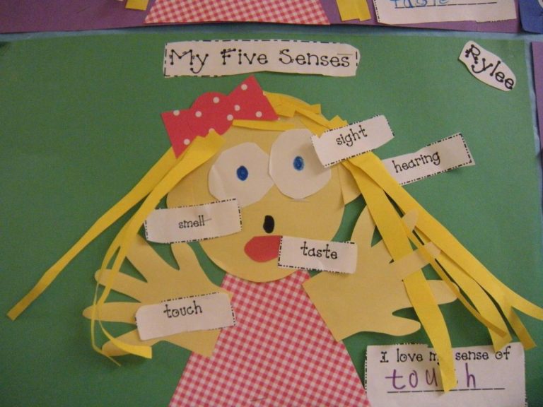 5 Senses Craft For Kindergarten