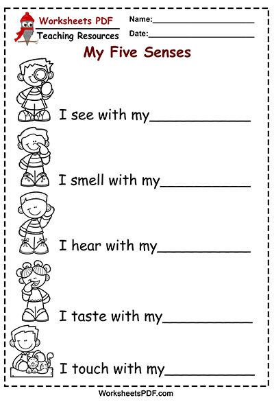 5 Senses Activities For Preschool Pdf