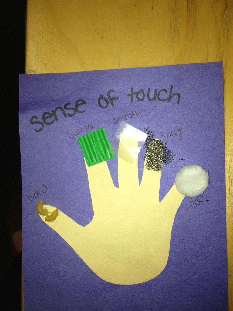 5 Senses Craft Ideas For Preschoolers