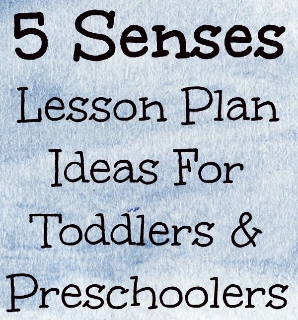 5 Senses Kindergarten Lesson Plan