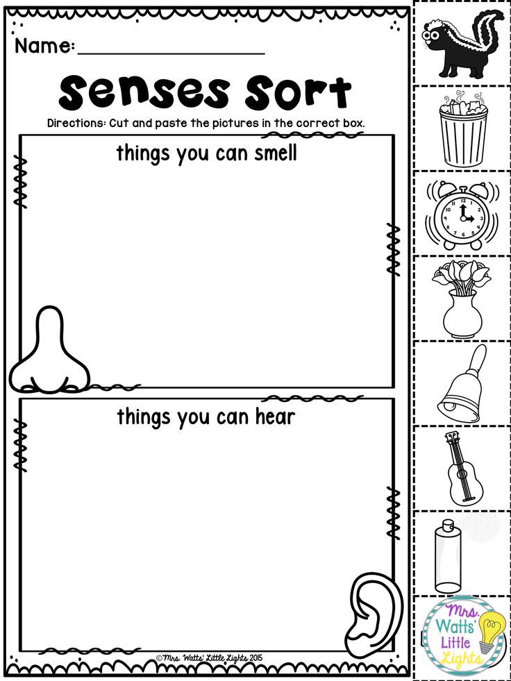 5 Senses Unit For Kindergarten