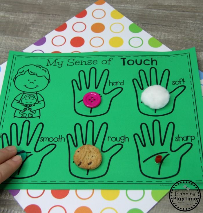 5 Senses Activities For Preschoolers