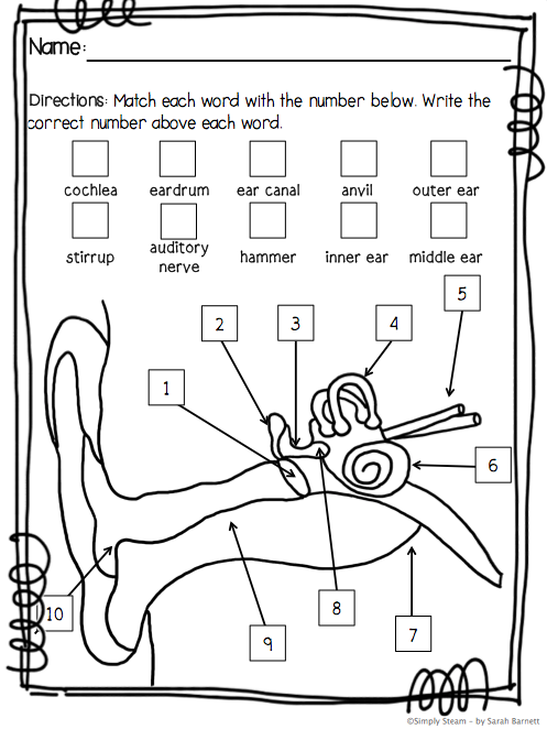 7th Grade Science Vocabulary Worksheets