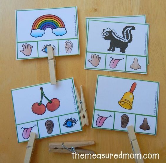 5 Senses Games For Kindergarten