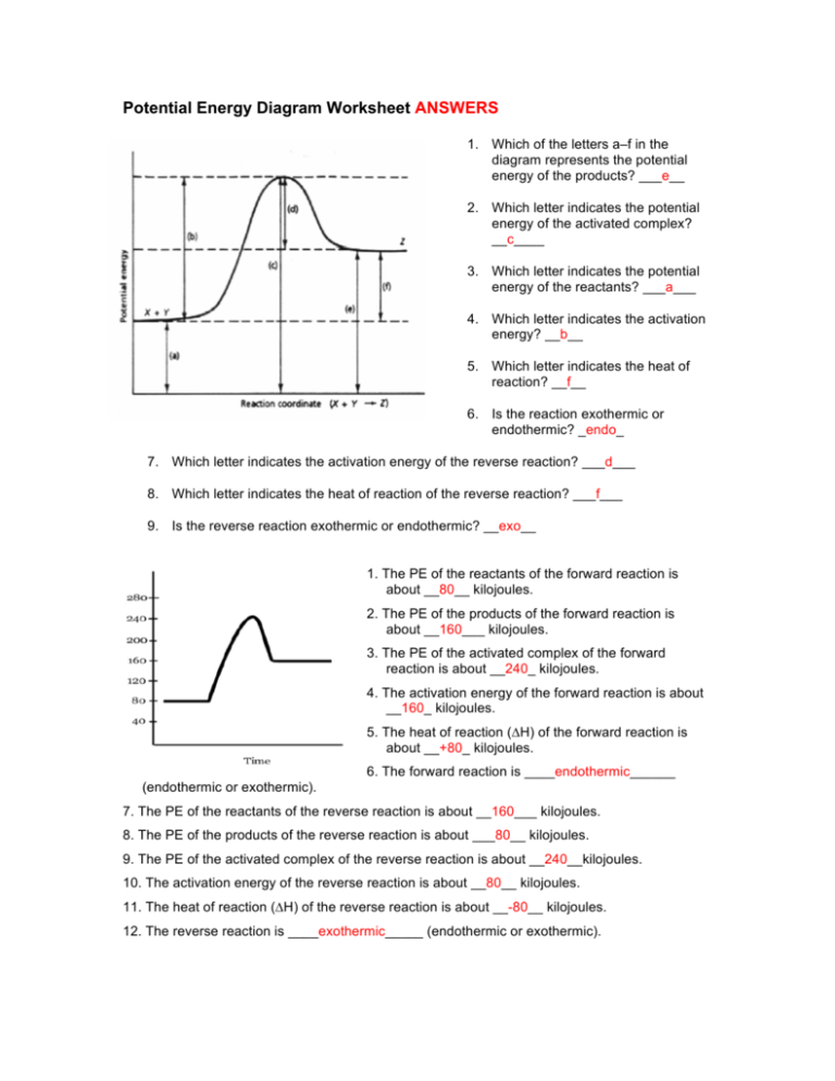 Potential Energy Diagram Worksheet Doc