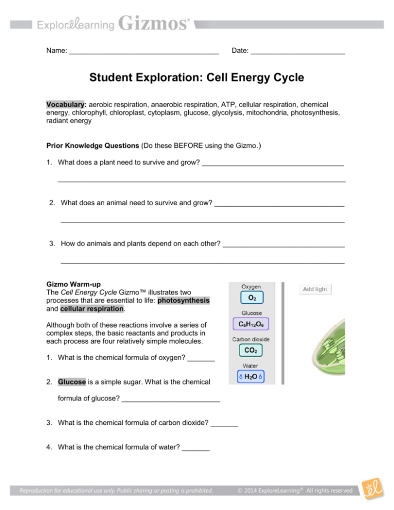 Water Cycle Gizmo Worksheet Answers