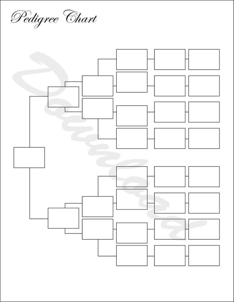 Simple Pedigree Worksheet