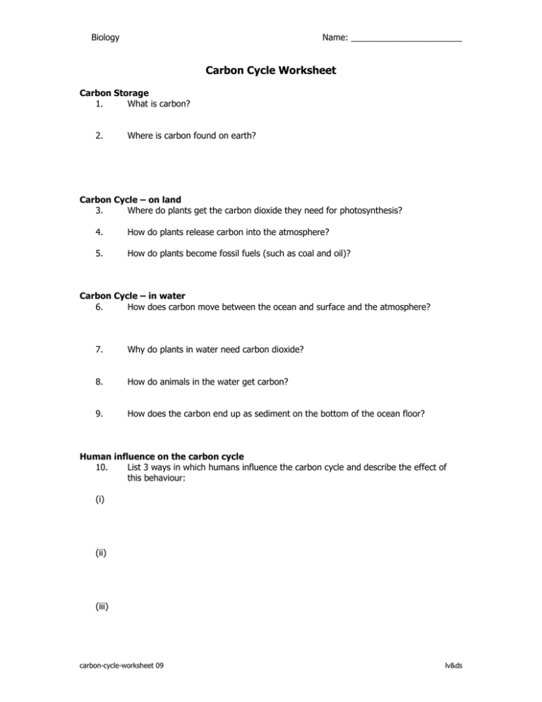 Carbon Cycle Worksheet Doc