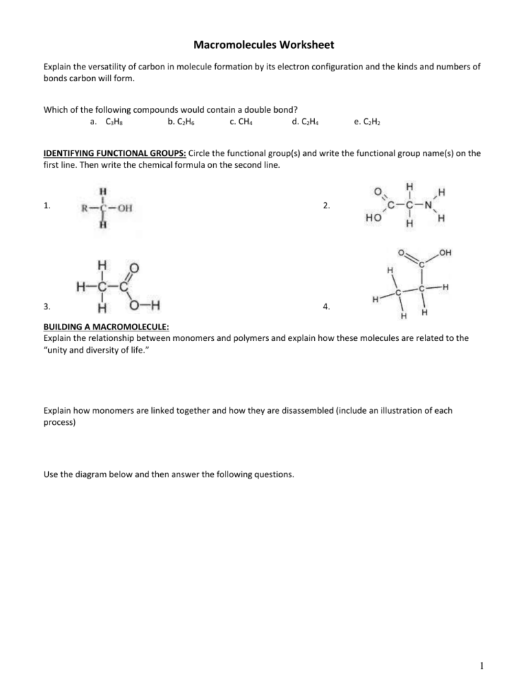 Macromolecules Worksheet #1 Answers