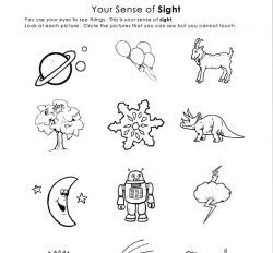 Senses Worksheet For Kindergarten