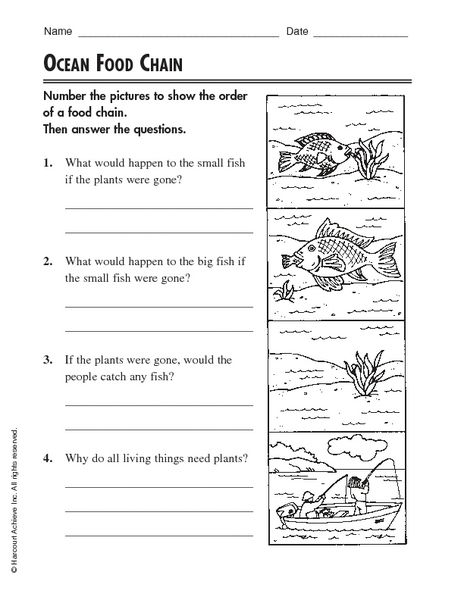 Food Worksheet For Grade 3