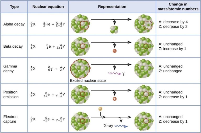 Chemistry Half Life Worksheet