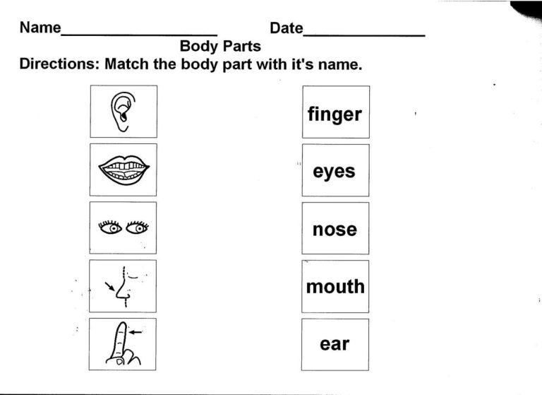 My Body Worksheet For Class 1