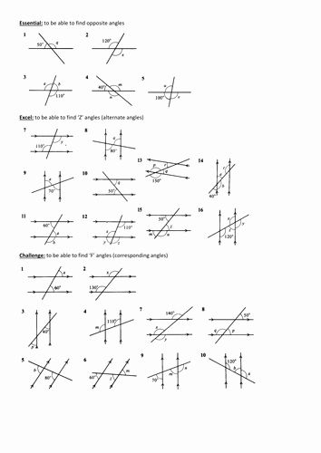 Angles In Parallel Lines Worksheet