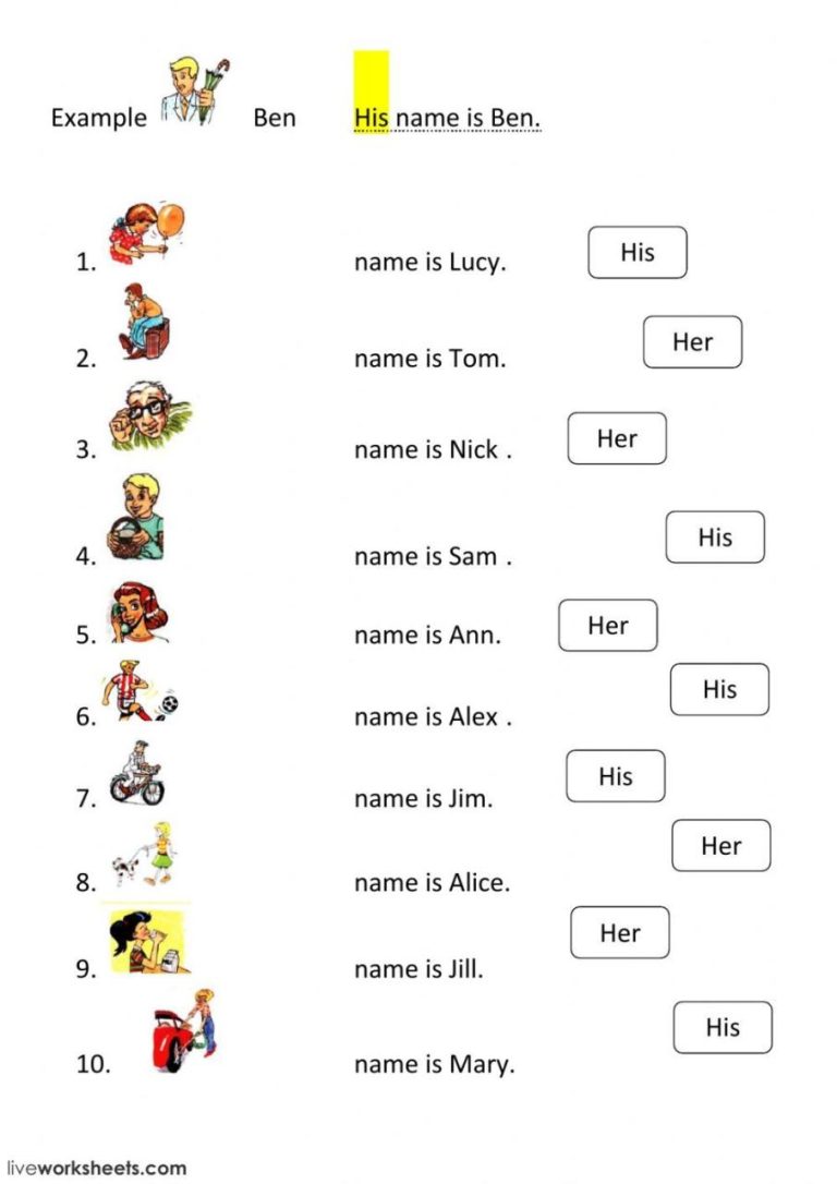 Possessive Pronouns Worksheet Pdf