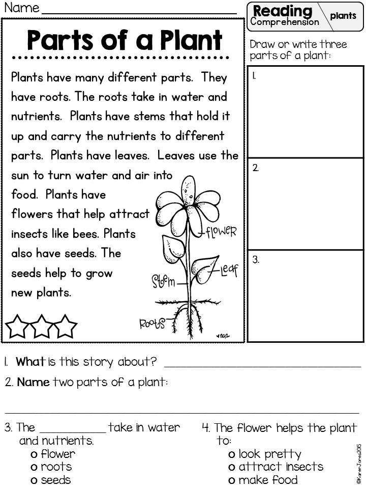 First Grade Science Worksheets For Grade 1 Plants