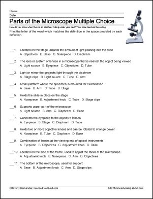 Microscope Worksheet Answers