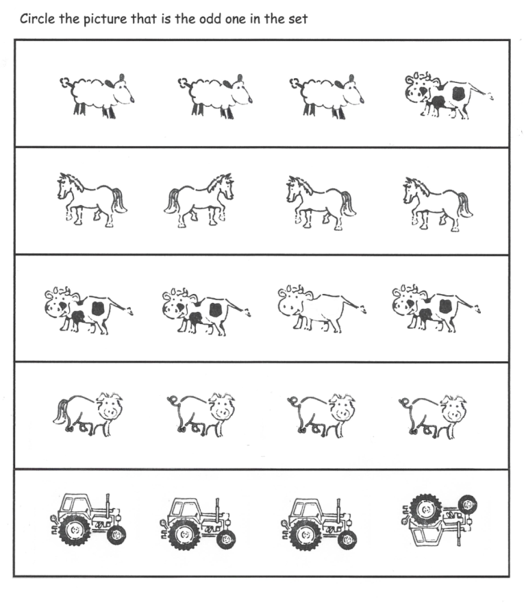 Singular And Plural Nouns Sentences Worksheets