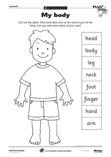 My Body Worksheet Preschool