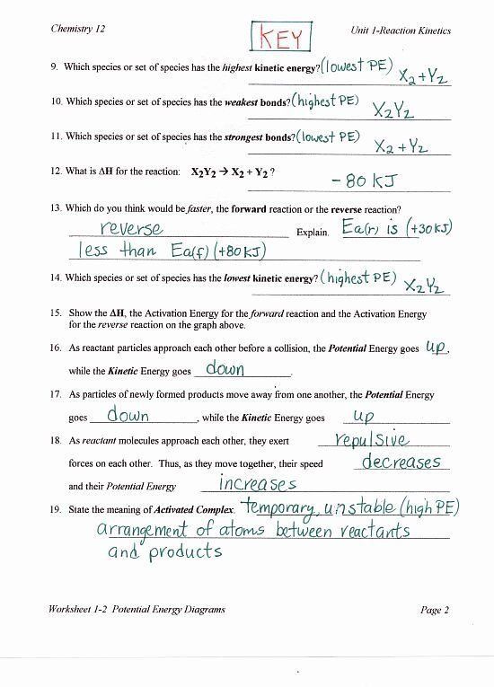 Potential And Kinetic Energy Worksheet 9th Grade