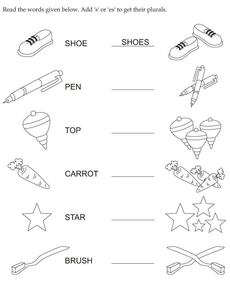 Beginner Preschool Singular And Plural Worksheets For Kindergarten