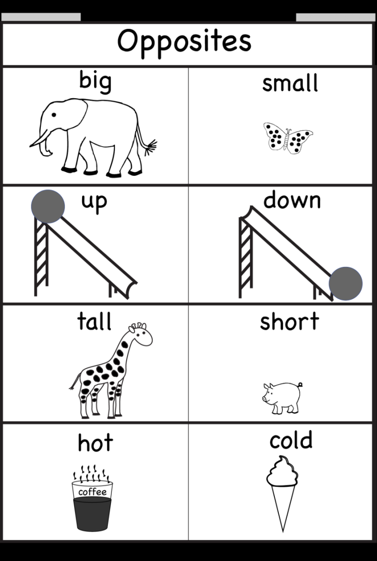 Opposites Worksheets For Kindergarten