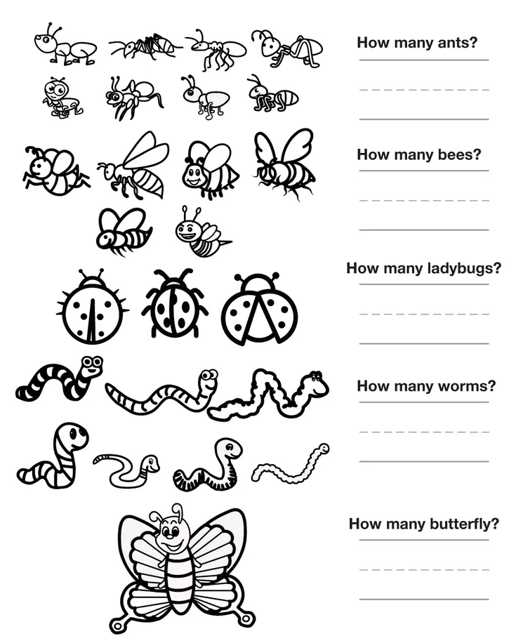 Kids Activity Sheets