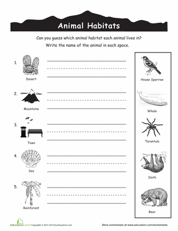 Science Worksheets For Grade 4 Animals