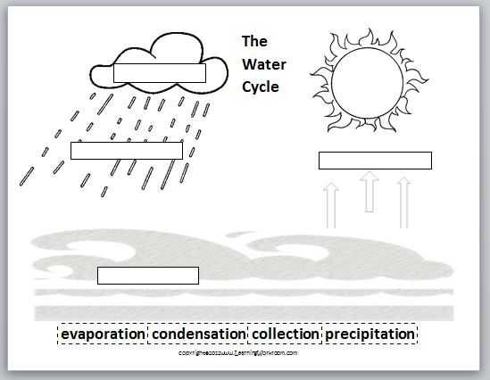 Water Cycle Worksheet