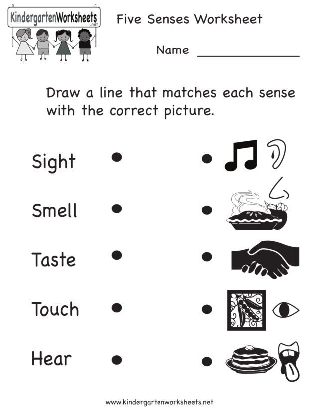 5 Senses Worksheets Pre K