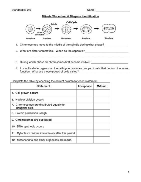 Biology Worksheets With Answers