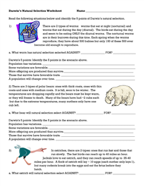 Natural Selection Worksheet