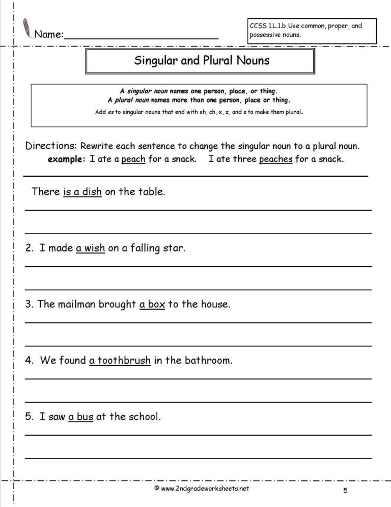 Singular And Plural Nouns Worksheets With Answer Key