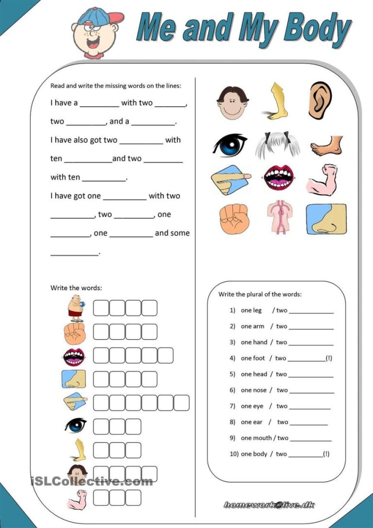 Body Worksheets For Grade 1