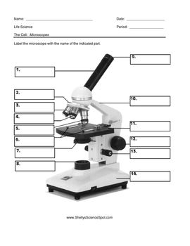 Microscope Worksheet Answer Key