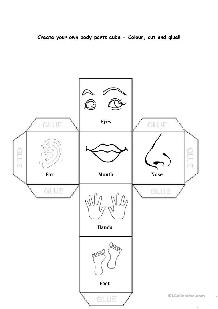 Body Worksheet For Preschool