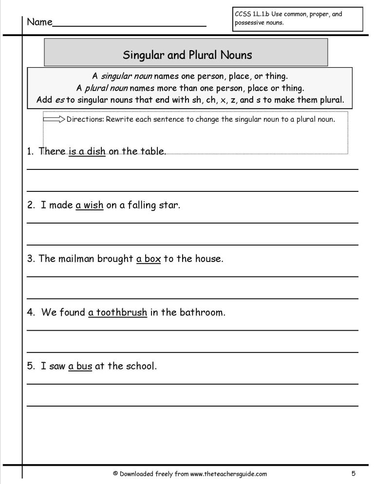 Grade 5 Singular And Plural Nouns Sentences Worksheets