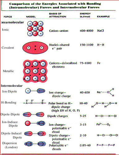 Intermolecular Forces Worksheet